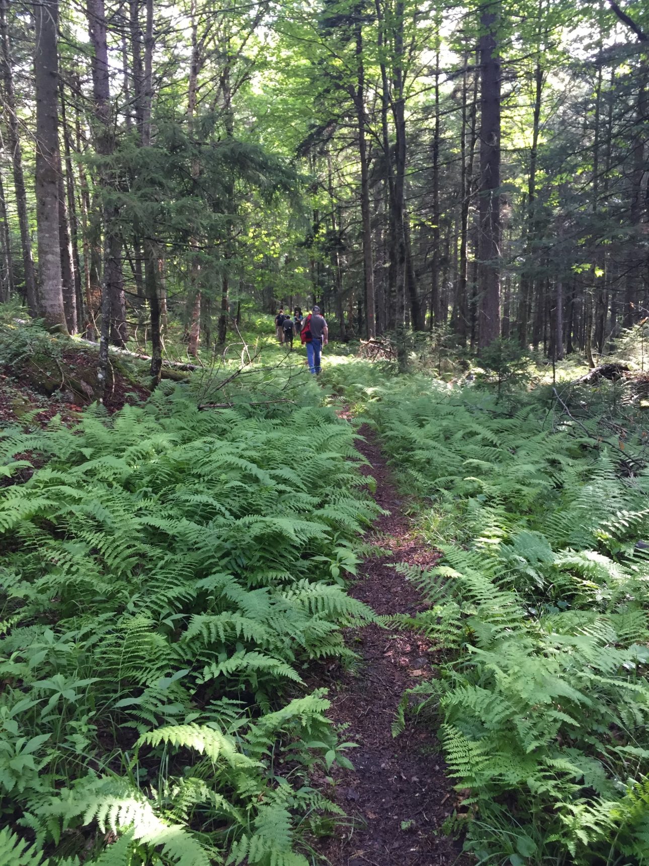Adirondack Great Camps Soft Surface Trails Master Plan