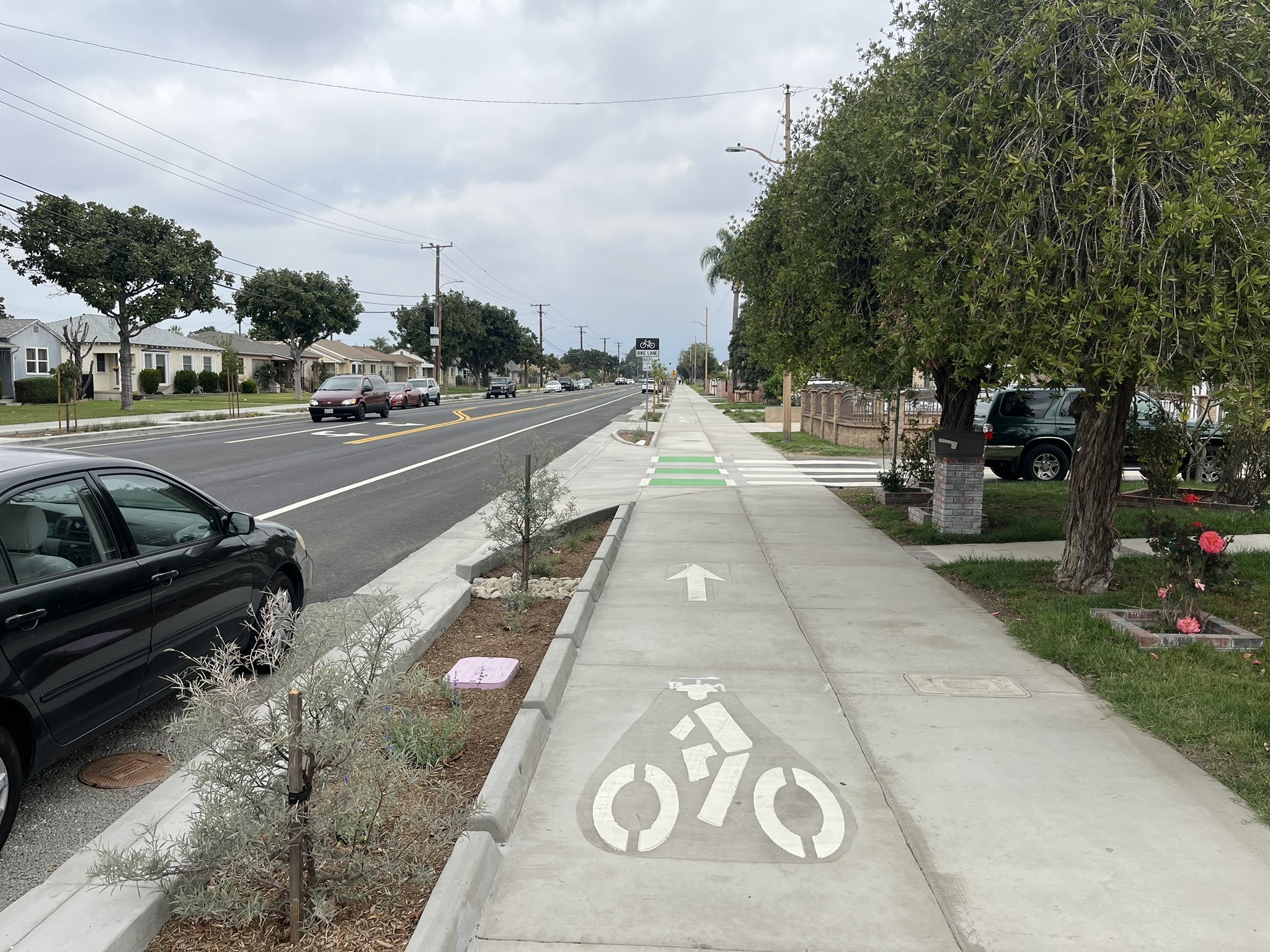 Green Infrastructure + Stormwater Management  image