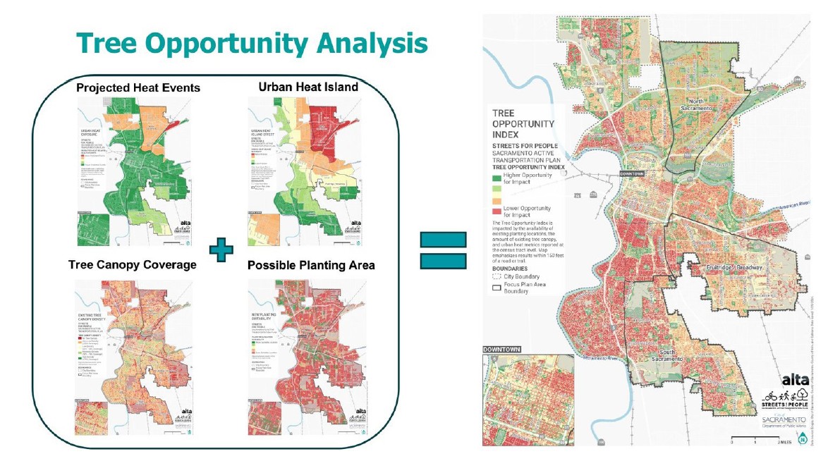 Sacramento Tree Opportunity Analysis